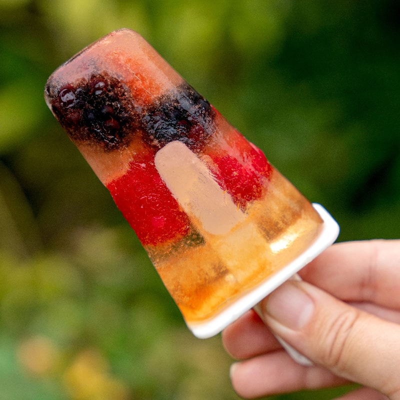Rooibos Berry Ice Lollies – Tick Tock