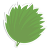 Bush sticker