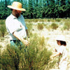 Bruce and Georgia Ginsberg