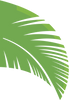 Bounce leaf