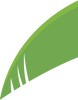 Bounce leaf