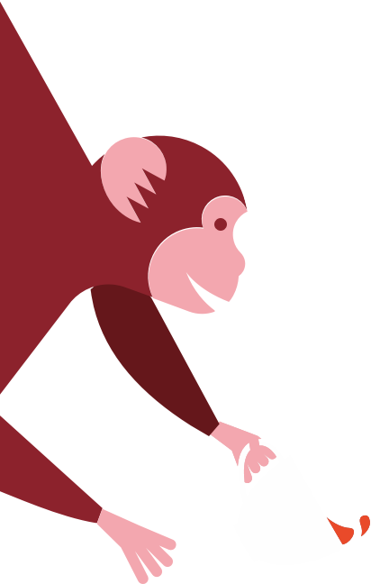 Bounce Monkey