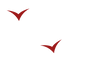 Two small birds